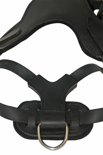 D&T Leather Basic Harness 7 D&T Leather Basic Harness - Image 5