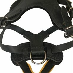 D&T Leather Basic Harness 13 D&T Leather Basic Harness -Collars Sales Shop DTH8B 7