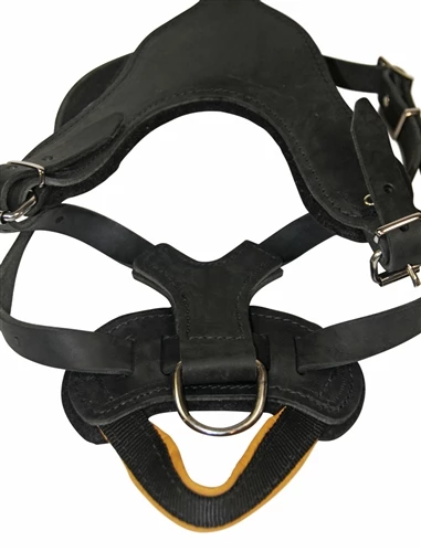 D&T Leather Basic Harness 8 D&T Leather Basic Harness - Image 6