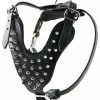 The Blade - Leather Harness -Collars Sales Shop DTH9 2