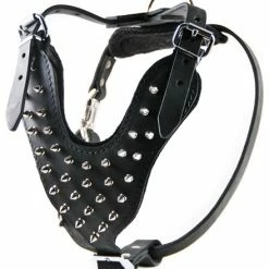 The Blade - Leather Harness