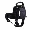 DT Cobra Harness - No Pull Dog Harness 1 DT Cobra Harness - No Pull Dog Harness -Collars Sales Shop DTHCO1 2