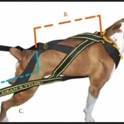DT Pro Pull - Weight Pulling Harness -Collars Sales Shop DTHPULL 5