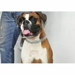 Sprenger Triple Row Martingale Collar -Collars Sales Shop DTHS5088302 2MM 5