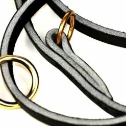 D&T Baby - Leather Leash -Collars Sales Shop DTL1 10MM 4