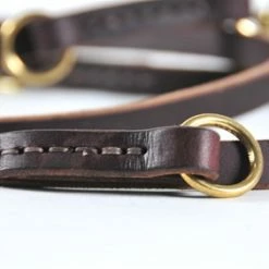 D&T Dynamite - Leather Leash -Collars Sales Shop DTL1 13mm 6