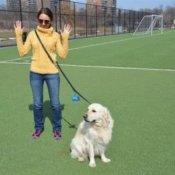 Simple Pleasure - Leather Leash -Collars Sales Shop DTL1 20mm 6