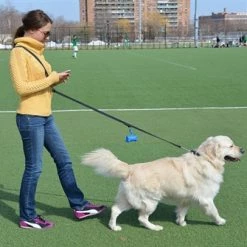 Simple Pleasure - Leather Leash -Collars Sales Shop DTL1 20mm 7