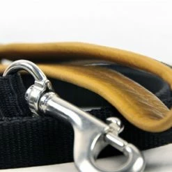 Padded Puppy Light Leash