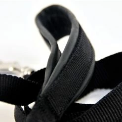 Padded Puppy Light Leash -Collars Sales Shop DTL10Light 4