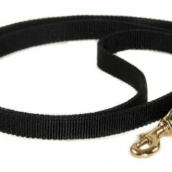 Nylon Night Leash