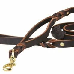 Braidy Bunch - Leather Traffic Leash