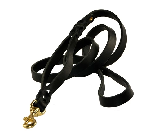 Braidy Bunch - Leather Traffic Leash 6 Braidy Bunch - Leather Traffic Leash - Image 4