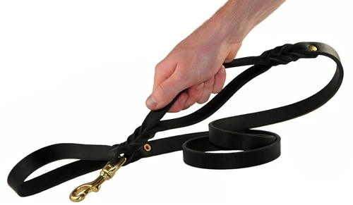 Braidy Bunch - Leather Traffic Leash 7 Braidy Bunch - Leather Traffic Leash - Image 5