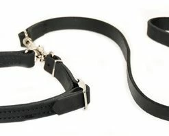 Black Snake - Police Leash