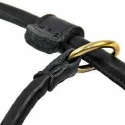 DT Rolled Leather Slip Leash -Collars Sales Shop DTLROLLEDSLIP 6