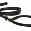 DT Slip Leash 1 DT Slip Leash -Collars Sales Shop DTLSLIP 2