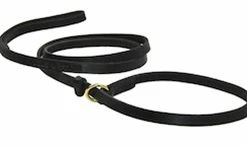 DT Slip Leash
