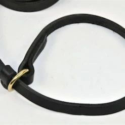 DT Slip Leash -Collars Sales Shop DTLSLIP 5