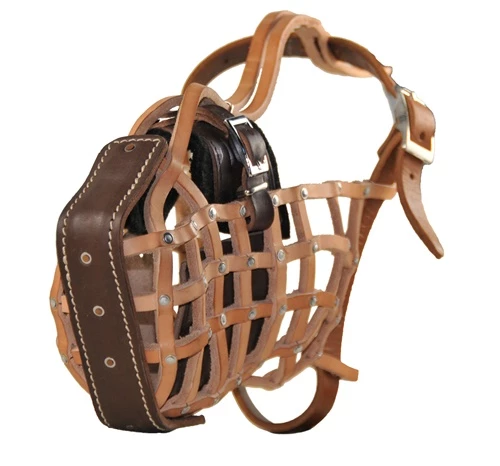 Collars Sales Shop -Collars Sales Shop DTM1 2