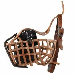 Collars Sales Shop -Collars Sales Shop DTM1 3