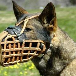 The Guardian - Basket Agitation Muzzle -Collars Sales Shop DTM1 4