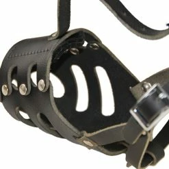 Collars Sales Shop -Collars Sales Shop DTM11 3