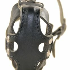 Collars Sales Shop -Collars Sales Shop DTM31 3