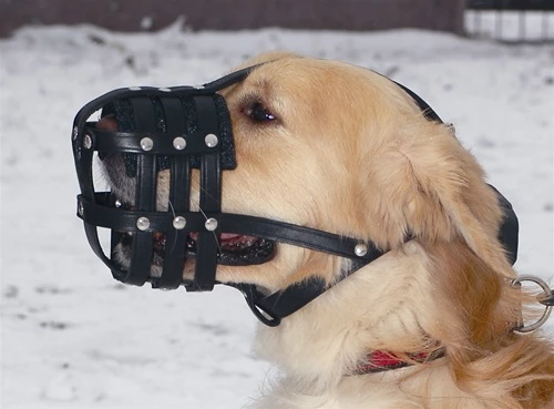 Leather Basket Muzzle 5 Leather Basket Muzzle - Image 3