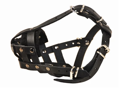 Leather Basket Muzzle 6 Leather Basket Muzzle - Image 4