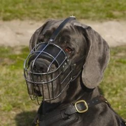 DT Muzzle - Basket Muzzle -Collars Sales Shop DTM4light 4