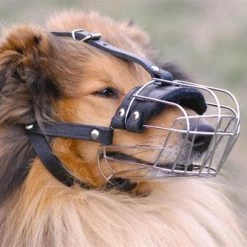 DT Muzzle - Basket Muzzle -Collars Sales Shop DTM4light 5