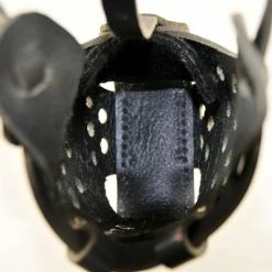 Collars Sales Shop -Collars Sales Shop DTM55 3