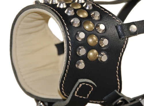 The Regulator - Occlusion Muzzle 4 The Regulator - Occlusion Muzzle - Image 2