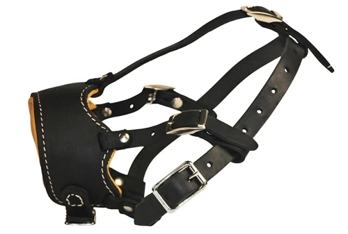 Collars Sales Shop -Collars Sales Shop DTM63royal 4