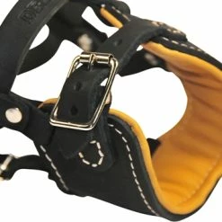 Royal Control - Occlusion Muzzle -Collars Sales Shop DTM63royal 5
