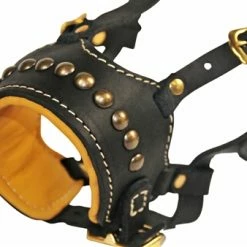 Collars Sales Shop -Collars Sales Shop DTM64Royal 3