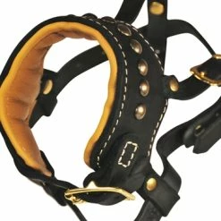 Apollo - Occlusion Muzzle -Collars Sales Shop DTM64Royal 5