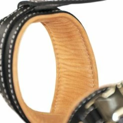 Collars Sales Shop -Collars Sales Shop DTM88 3