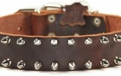 Spike Time - Spiked Collar