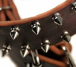 Spike Time - Spiked Collar -Collars Sales Shop DTS33 4