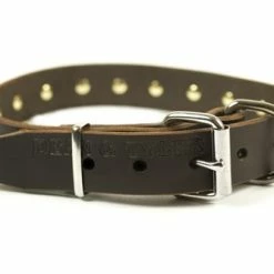 Spiked Punch - Spiked Collar -Collars Sales Shop DTS33S 3