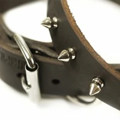 Spiked Punch - Spiked Collar -Collars Sales Shop DTS33S 4