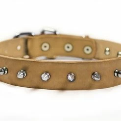 Spiked Punch - Spiked Collar -Collars Sales Shop DTS33S 6