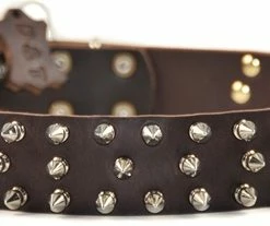 Triple Threat - Spiked Collar