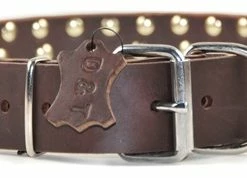 Triple Threat - Spiked Collar -Collars Sales Shop DTS44 4