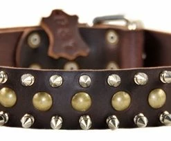 The Business End - Spiked Collar