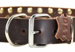 The Business End - Spiked Collar 10 The Business End - Spiked Collar -Collars Sales Shop DTS55 4