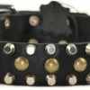 Studly - Studded Collar -Collars Sales Shop DTS56 2