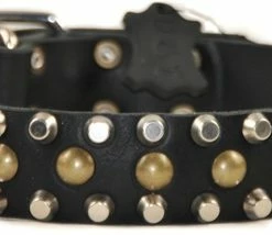 Studly - Studded Collar